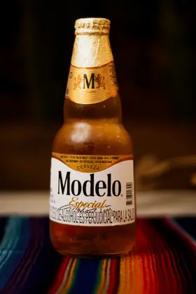 Modelo